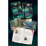 Oracle Des Familiers : Coffret Ésotérique Pour Connexion Spirituelle de Herboristerie et Esotérisme à Libourne dans D040