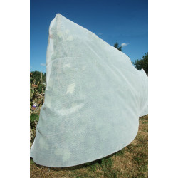 Protection anti-insectes pour jardin et maison 2x6m blanc 55gr/m² de Jany France dans J007