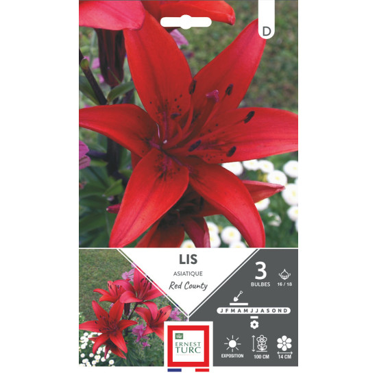 Lys asiatique red county 16/18 x3 - bulbes à fleurs printemps de Teragile - produits pour le jardin dans E0991