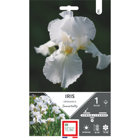 Iris germanica immortality - bulbes à fleurs de printemps x1 de Teragile - produits pour le jardin dans E0991