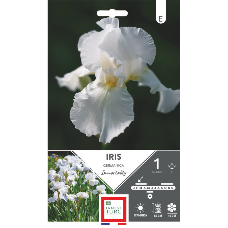 Iris germanica immortality - bulbes à fleurs de printemps x1 de Teragile - produits pour le jardin dans E0991