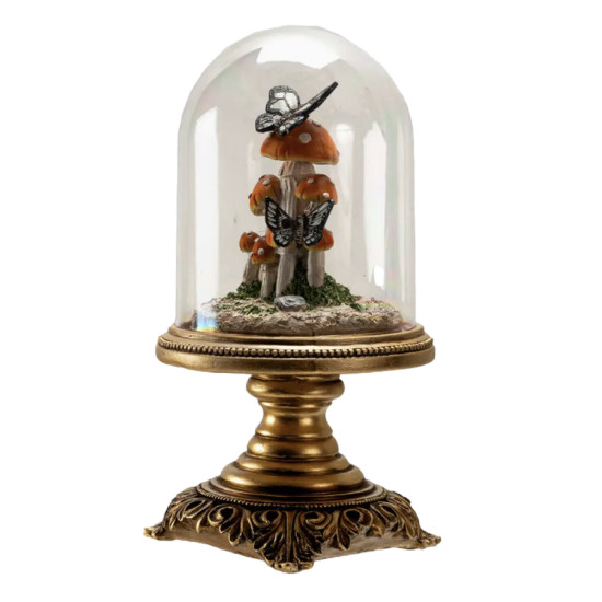 Cloche champignon avec papillon sur champignon veneneux de Herboristerie et Esotérisme à Libourne dans P207