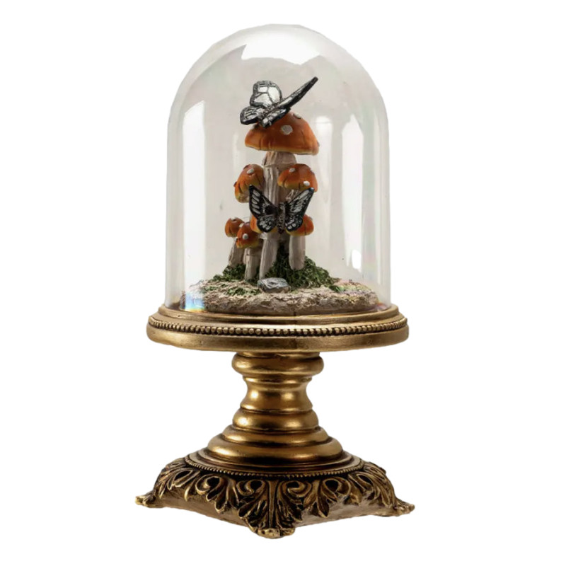 Cloche champignon avec papillon sur champignon veneneux de Herboristerie et Esotérisme à Libourne dans P207