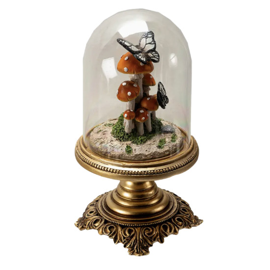 Cloche champignon avec papillon sur champignon veneneux de Herboristerie et Esotérisme à Libourne dans P207