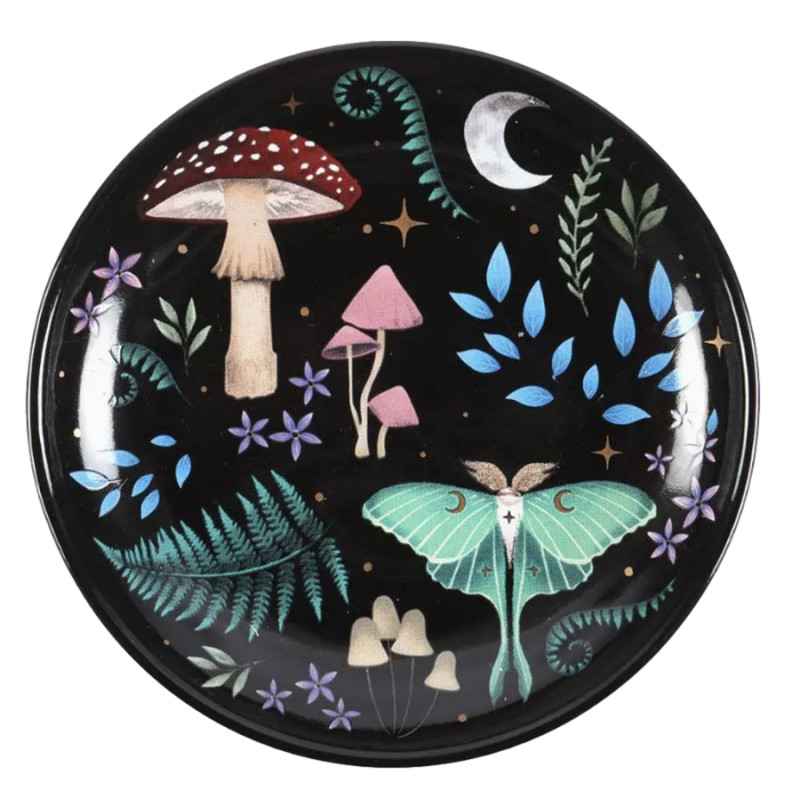 Petit plat rond décor forêt nocturne de Herboristerie et Esotérisme à Libourne dans S162