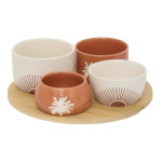 SET APERITIF SUNSHINE 5P de Jardinerie Bordeaux Libourne Gironde dans J031