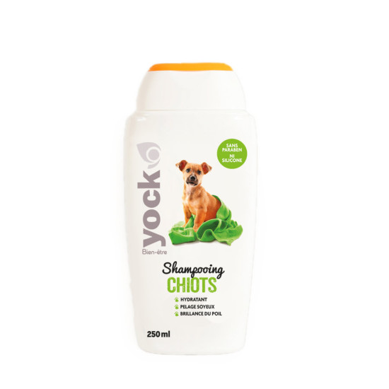 SHAMPOOING CHIOT 250ML YOCK