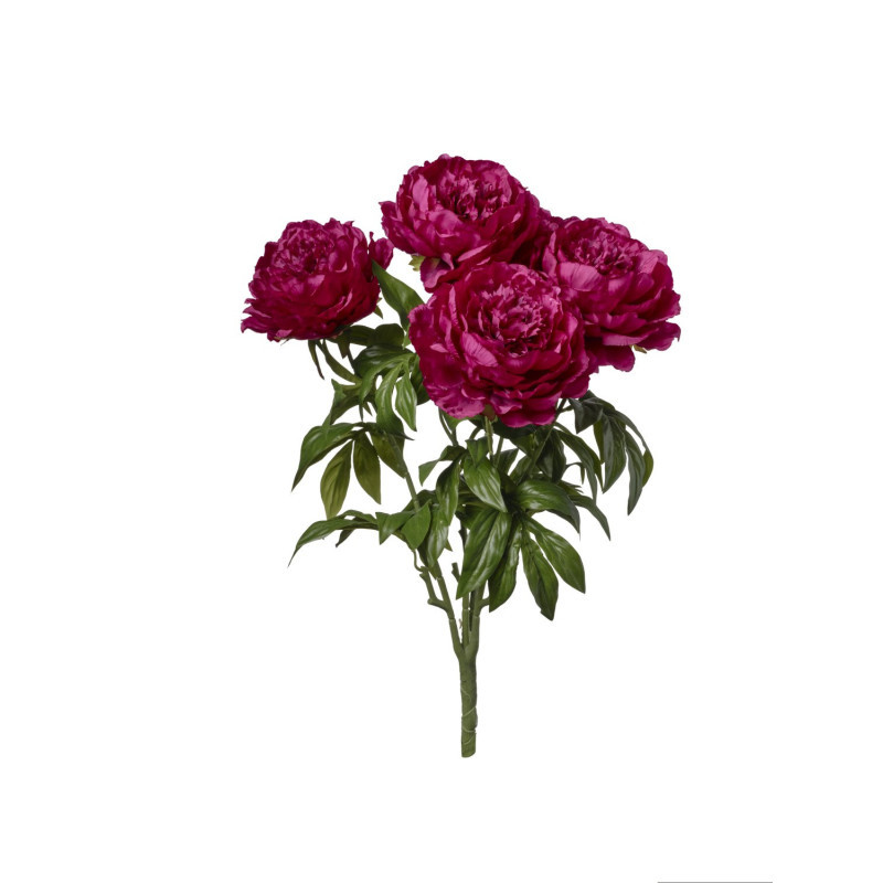 /BOUQUET DE PIVOINE BORDEAUX 60CM de Jardinerie Bordeaux Libourne Gironde dans E078