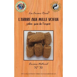 Encens arbre aux mille vœux 25g pour purification et méditation de Herboristerie et Esotérisme à Libourne dans D040