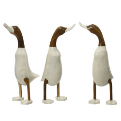 CANARD ALBIZIA BOIS BLANC/COULEUR H38CM 3ASS de Décoration de la maison à Libourne dans K002