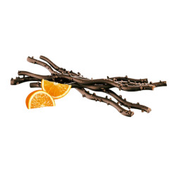 SARMENTS DU MEDOC CHOCO NOIR/ORANGE 125G de Table des producteurs Libourne dans 🍫 Chocolats