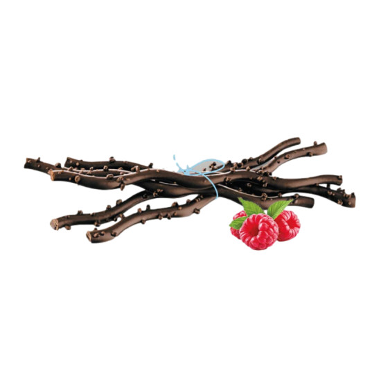 SARMENTS DU MEDOC CHOCO NOIR/FRAMBOISE 125G de Table des producteurs Libourne dans 🍫 Chocolats