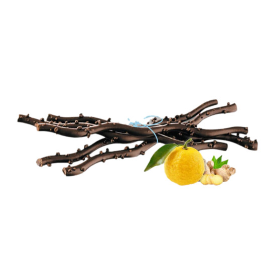 SARMENTS DU MEDOC CHOCO NOIR/YUZU GINGEMBRE 125G de Table des producteurs Libourne dans 🍫 Chocolats