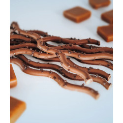 SARMENTS DU MEDOC CHOCO LAIT/CARAMEL 125G de Table des producteurs Libourne dans 🍫 Chocolats