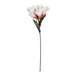 FLEUR FLORI BLANC+ROSE H70CM de Décoration de la maison à Libourne dans Y001
