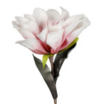 FLEUR FLORI BLANC+ROSE H70CM de Décoration de la maison à Libourne dans Y001