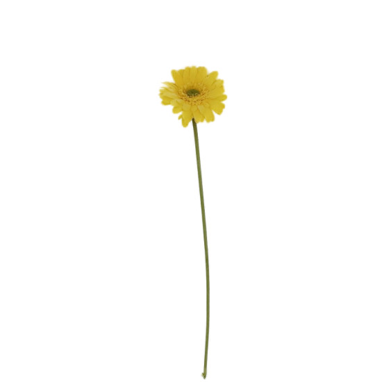 TIGE GERBERA JAUNE 54.5CM de Décoration de la maison à Libourne dans K0301