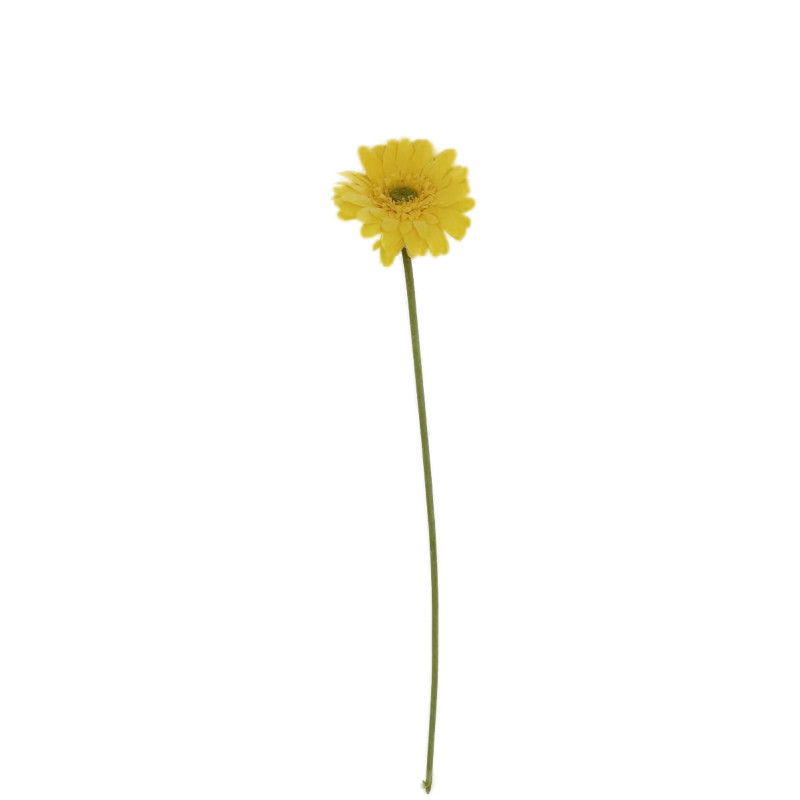TIGE GERBERA JAUNE 54.5CM de Décoration de la maison à Libourne dans K0301