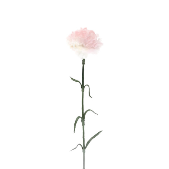 TIGE OEILLLET 53CM ROSE PALE de Décoration de la maison à Libourne dans K0301