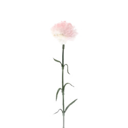 TIGE OEILLLET 53CM ROSE PALE de Décoration de la maison à Libourne dans K0301