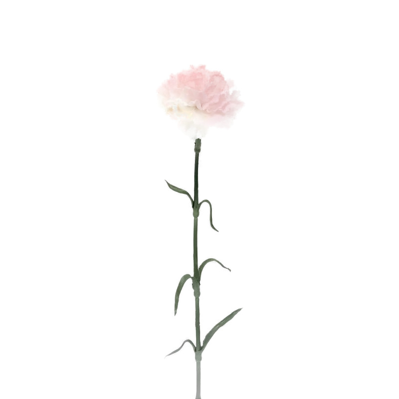 TIGE OEILLLET 53CM ROSE PALE de Décoration de la maison à Libourne dans K0301