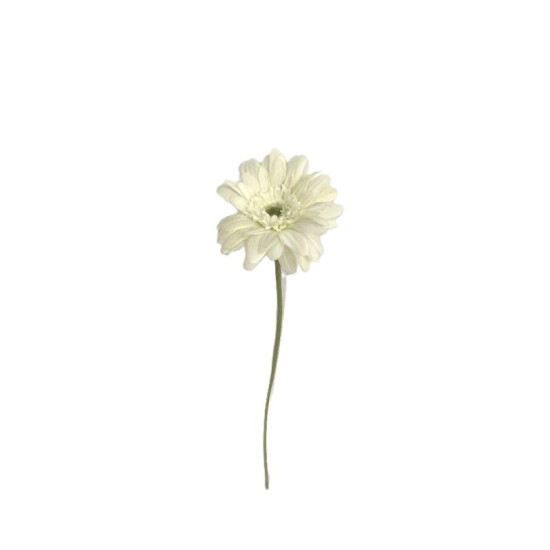 TIGE GERBERA 55CM CREME de Décoration de la maison à Libourne dans K0301