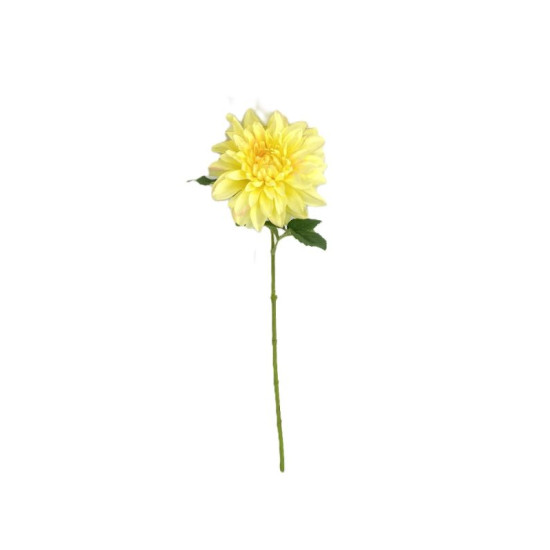 TIGE DAHLIA JAUNE 57CM de Décoration de la maison à Libourne dans K0301