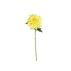 TIGE DAHLIA JAUNE 57CM de Décoration de la maison à Libourne dans K0301