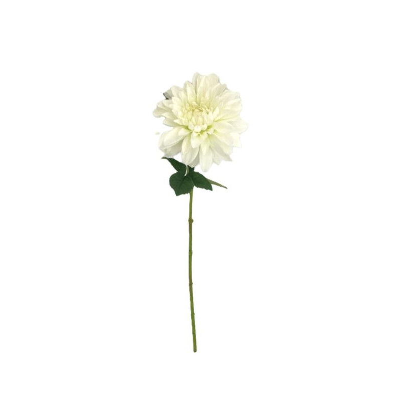 TIGE DAHLIA BLANC 57CM de Décoration de la maison à Libourne dans K0301