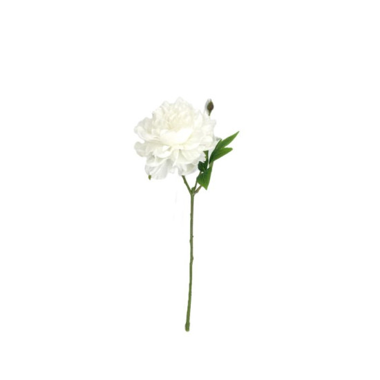 TIGE PIVOINE BLANCHE 45CM de Décoration de la maison à Libourne dans K0301