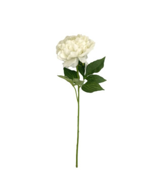 TIGE PIVOINE CREME 58CM de Décoration de la maison à Libourne dans K0301