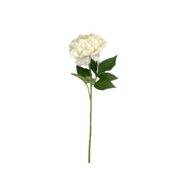 TIGE PIVOINE CREME 58CM de Décoration de la maison à Libourne dans K0301