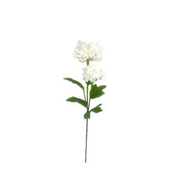 TIGE VIBURNUMS BLANC 47CM de Décoration de la maison à Libourne dans K0301