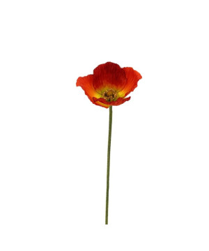 TIGE FLEURS DE PAVOT 59CM D12CM ORANGE de Décoration de la maison à Libourne dans K0301