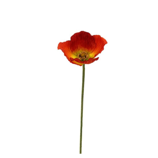 TIGE FLEURS DE PAVOT 59CM D12CM ORANGE de Décoration de la maison à Libourne dans K0301