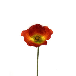 TIGE FLEURS DE PAVOT 59CM D12CM ORANGE de Décoration de la maison à Libourne dans K0301