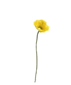 TIGE FLEURS DE PAVOT 59CM D12CM JAUNE de Décoration de la maison à Libourne dans K0301