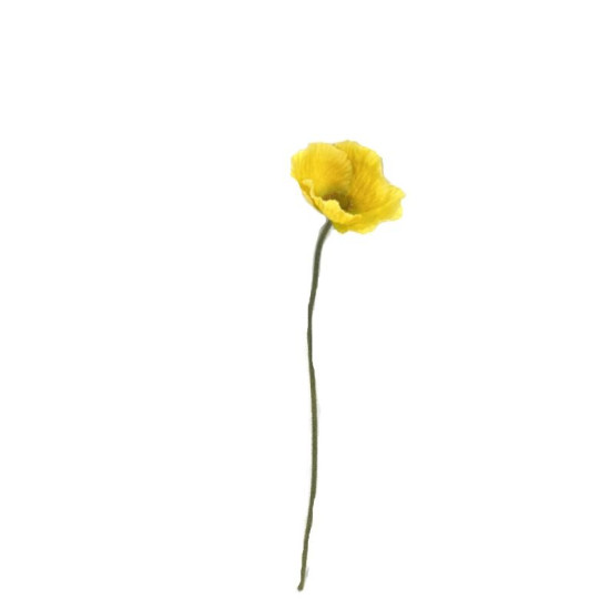 TIGE FLEURS DE PAVOT 59CM D12CM JAUNE de Décoration de la maison à Libourne dans K0301