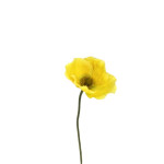 TIGE FLEURS DE PAVOT 59CM D12CM JAUNE de Décoration de la maison à Libourne dans K0301