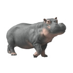 Figurine Schleich hippopotame de Schleich - Figurine d'animaux dans S043