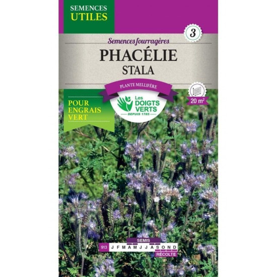 PHACELIA ECO - graines 25g - Les doigts verts de Les Doigts Verts - graines de Gironde à Bordeaux dans L084
