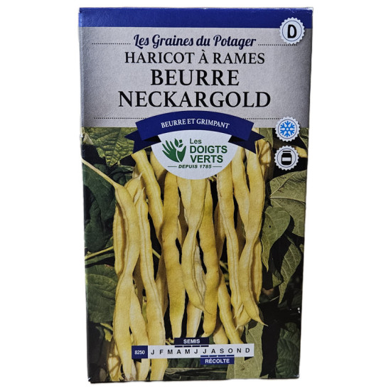 HARICOT Rame Beurre Neckargold - graines 150g - Les doigts verts de Les Doigts Verts - graines de Gironde à Bordeaux dans L084