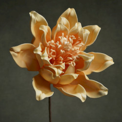 FLORA.KAINA FLEUR MELON 80CM de Décoration de la maison à Libourne dans E010