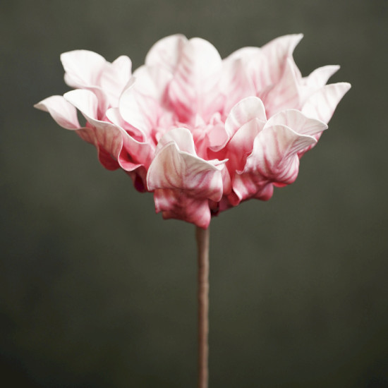 FLORA.ROMY FLEUR ROSE 80CM de Décoration de la maison à Libourne dans E010