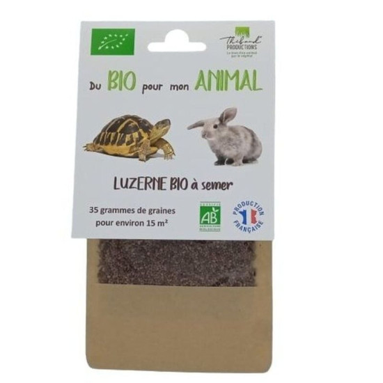 Graines de luzerne bio pour tortues - Plantes et végétaux adaptés aux reptiles de Animalerie Libourne et Bordeaux - Gironde d...