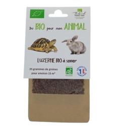 Graines de luzerne bio pour tortues - Plantes et végétaux adaptés aux reptiles de Animalerie Libourne et Bordeaux - Gironde d...
