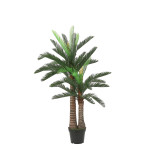 CYCAS PALMIER EN POT PLASTIQUE VERT H150 D100CM de Edelman - deco maison et noël dans E009