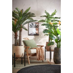 CYCAS PALMIER EN POT PLASTIQUE VERT H150 D100CM de Edelman - deco maison et noël dans E009