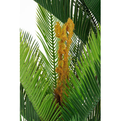 CYCAS PALMIER EN POT PLASTIQUE VERT H150 D100CM de Edelman - deco maison et noël dans E009