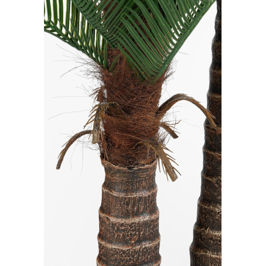 CYCAS PALMIER EN POT PLASTIQUE VERT H150 D100CM de Edelman - deco maison et noël dans E009